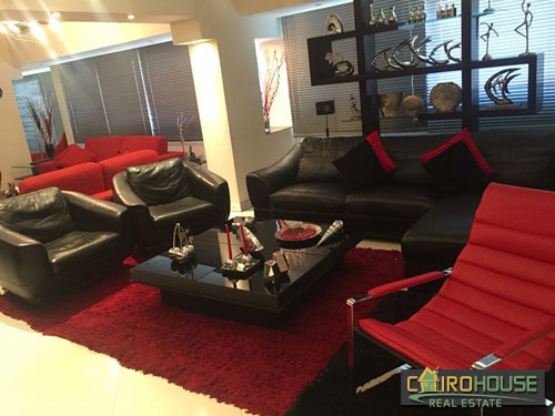 Cairo House Real Estate Egypt :Residential Apartment in Zamalek