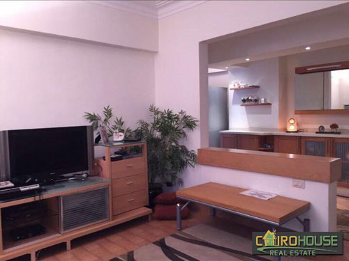 Cairo House Real Estate Egypt :Residential Apartment in Mohandiseen