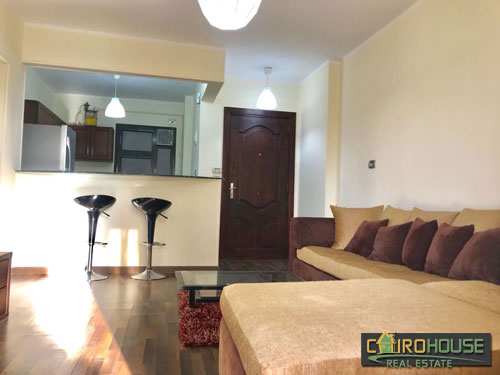Cairo House Real Estate Egypt :Residential Apartment in Maadi Degla
