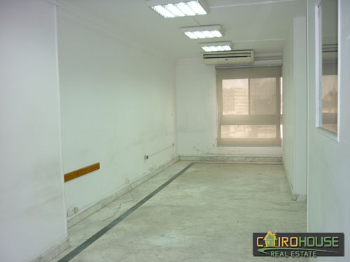 Cairo House Real Estate Egypt :Administrative Apartment in New Maadi