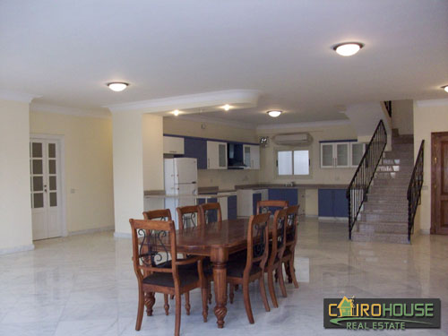 Cairo House Real Estate Egypt :Residential Penthouse in Old Maadi