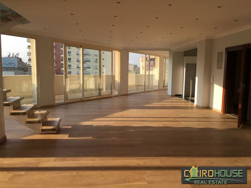 Cairo House Real Estate Egypt :Residential Penthouse in Old Maadi