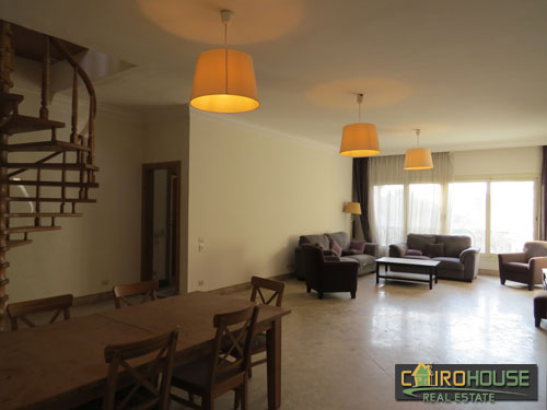 Cairo House Real Estate Egypt :Residential Penthouse in Maadi Degla