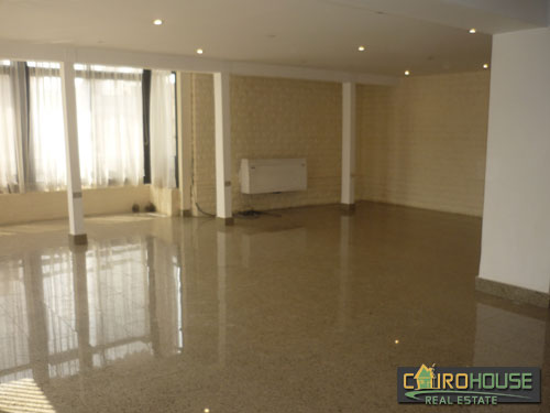 Cairo House Real Estate Egypt :Residential Roof in Old Maadi