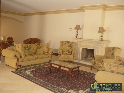 Cairo House Real Estate Egypt :Residential Villa in Cairo - Alex Road