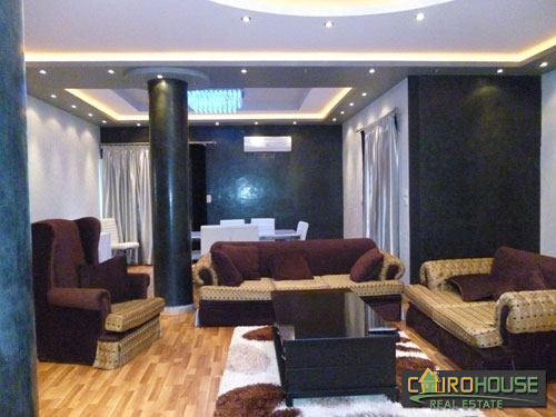 Cairo House Real Estate Egypt :Residential Villa in Al Rehab City