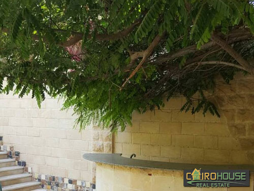 Cairo House Real Estate Egypt :Residential Villa in New Cairo