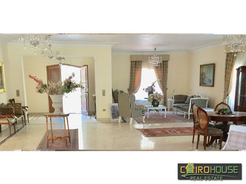 Cairo House Real Estate Egypt :Residential Villa in Cairo - Alex Road